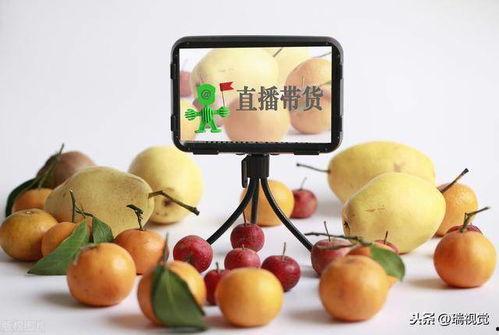 长垣直播吃瓜,揭秘网络直播背后的趣味与争议