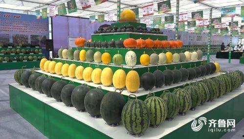 长垣直播吃瓜,揭秘网络直播背后的趣味与争议