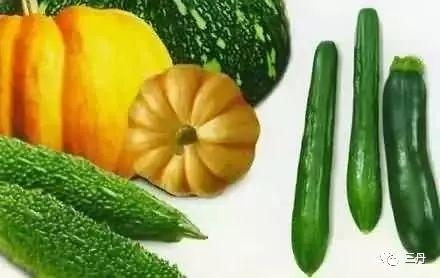 瓜可以怎么调着吃,瓜类美食调法大盘点