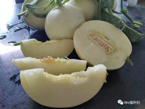 霍州吃货吃瓜,吃货吃瓜，探寻地方特色美食之旅