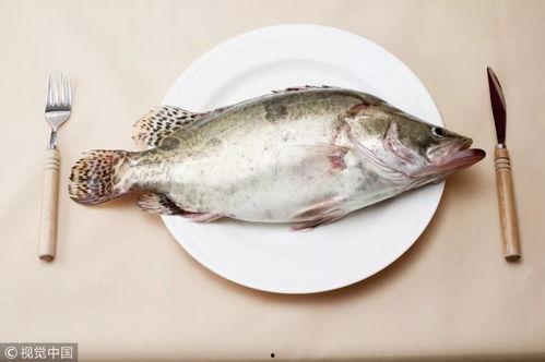 吃八瓜鱼爆乆,探寻传统美食的独特魅力