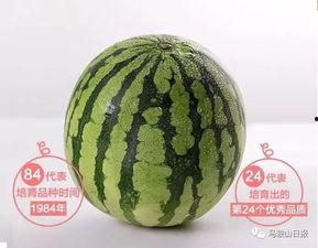 诗颖吃瓜,一场甜蜜的夏日盛宴