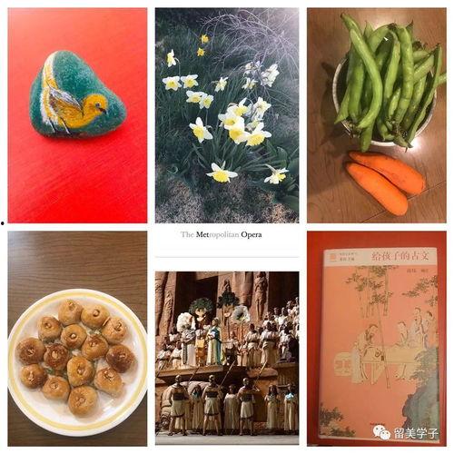 早上同事吃瓜,同事早餐吃瓜背后的惊人真相