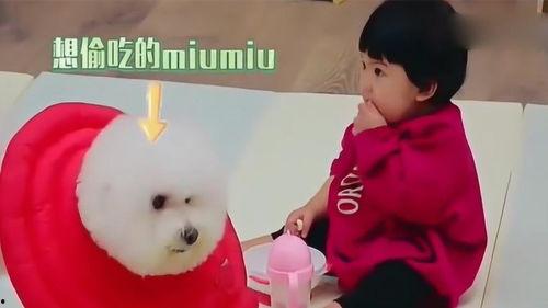 发妞吃瓜视频,揭秘网红发妞吃瓜视频背后的热点事件