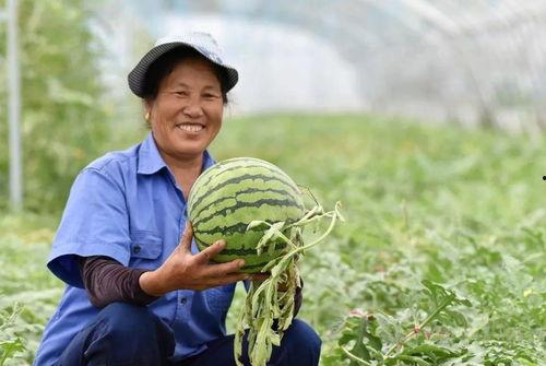 吃瓜群众刘小花,揭秘吃瓜群众的趣味生活