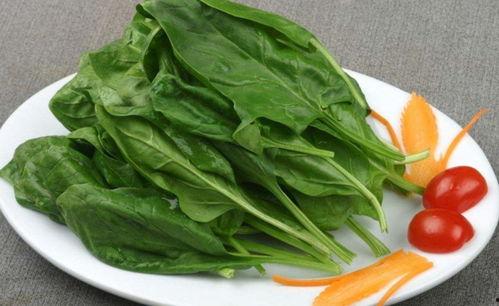 妊糖可以吃瓠瓜,瓠瓜助力孕期健康