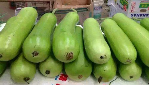 妊糖可以吃瓠瓜,瓠瓜助力孕期健康