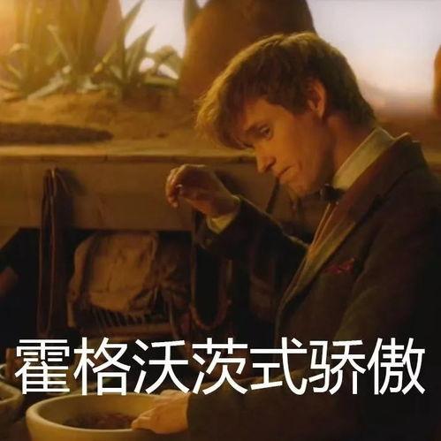 吃麻瓜的太阳,探寻魔法与科学的交汇点