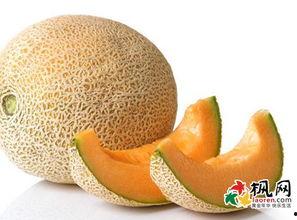 梦见偷甜瓜吃瓜