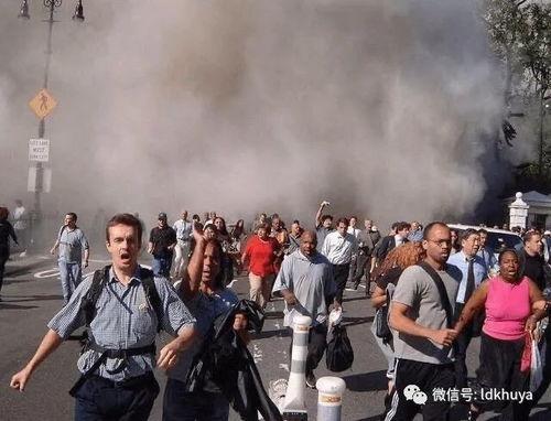 911事件吃瓜在线观看,在线见证历史时刻的瓜界风云