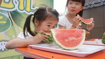 海宁郭店吃瓜事件,一场关于公平与正义的较量