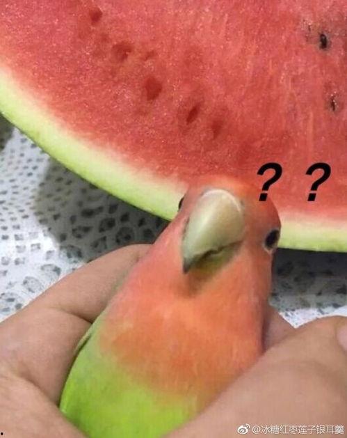 最近网络吃瓜事件