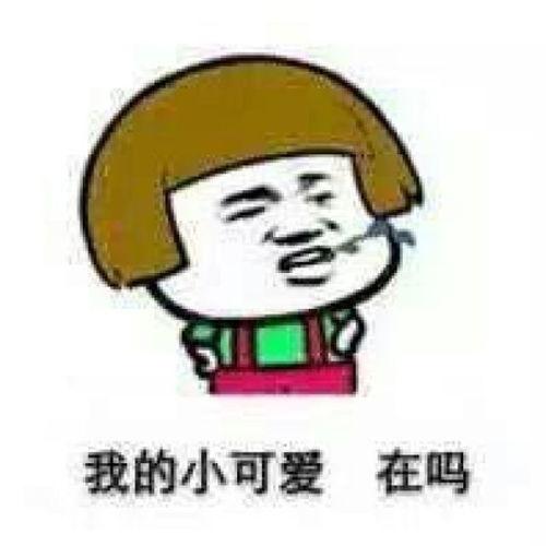 吃瓜抱走小莫,一场甜蜜的瓜田奇遇