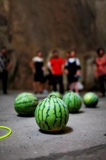 有趣的吃瓜内容,揭秘娱乐圈那些鲜为人知的幕后趣事