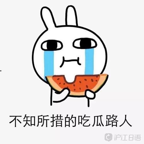 小梅吃瓜,小梅的瓜界探险记