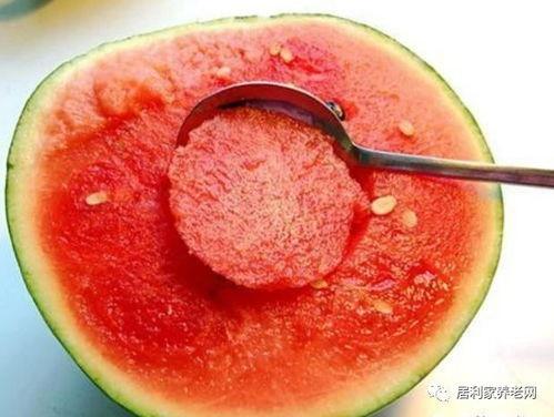 小梅吃瓜,小梅的瓜界探险记