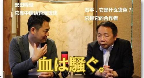 吃瓜间谍,网络时代的隐秘观察者