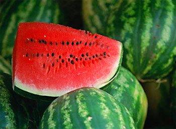 怀孕可以吃丰田瓜,丰田瓜，营养美味两不误