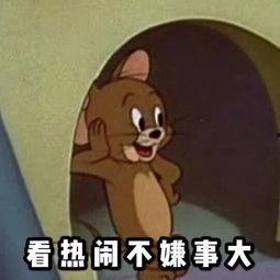 暴躁颜老板吃瓜,揭秘娱乐圈幕后风云