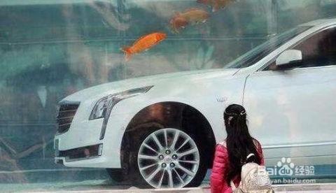 路虎吃瓜群众视频,揭秘明星网红的幕后生活