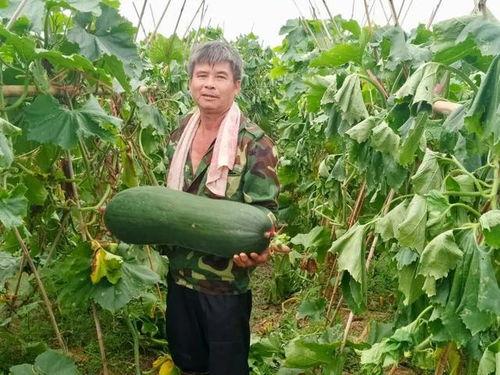 劲爆吃瓜开头,揭秘娱乐圈背后的惊人真相